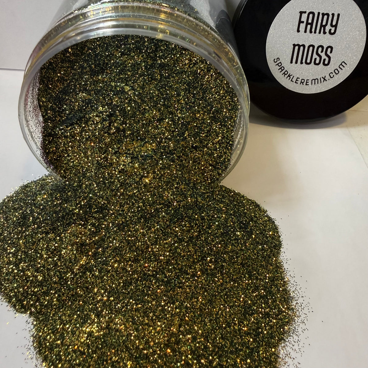 Fairy Moss