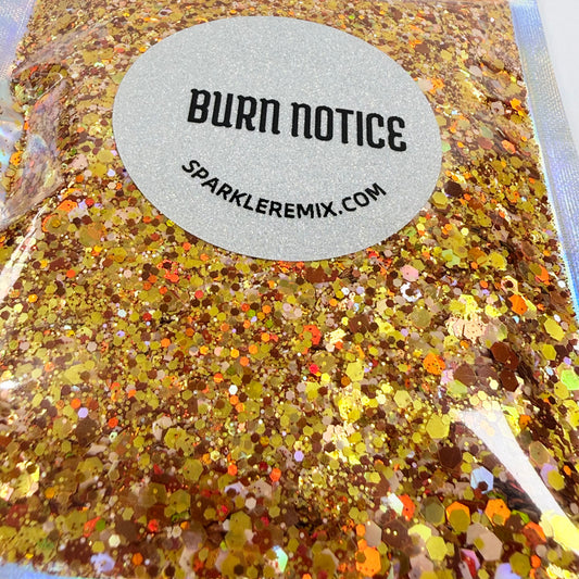 Burn Notice*